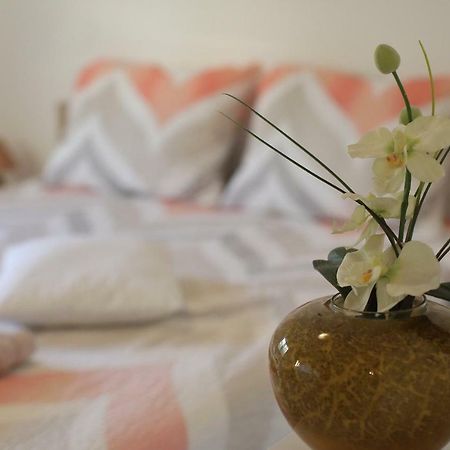 Apartment Palma Bibinje Εξωτερικό φωτογραφία