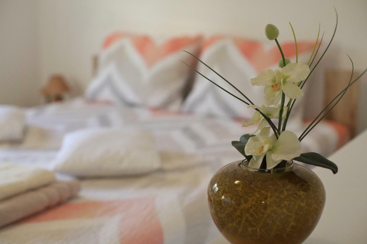 Apartment Palma Bibinje Εξωτερικό φωτογραφία