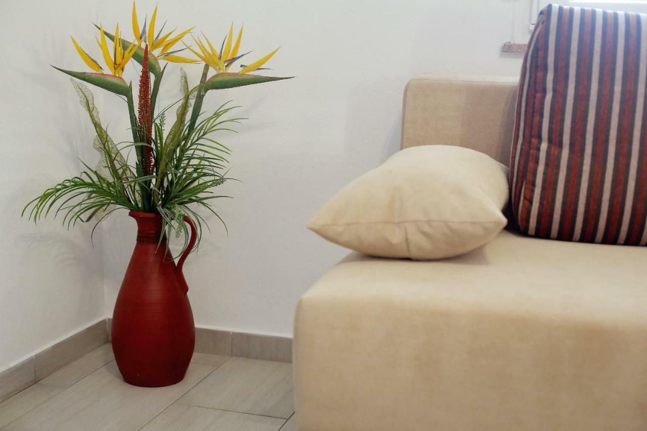 Apartment Palma Bibinje Εξωτερικό φωτογραφία